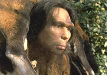   " " (Homo heidelbergensis).    www.ido.edu.ru
