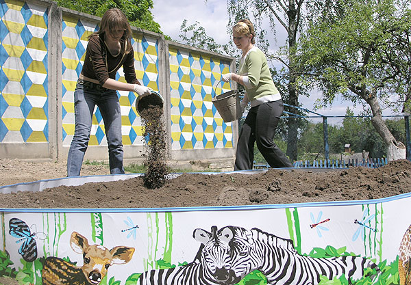    volunteergomel.org