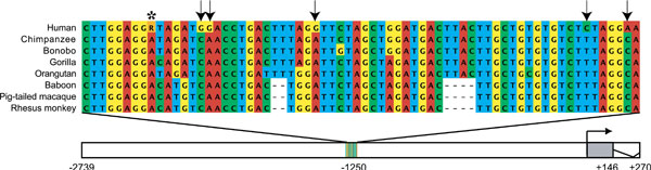   68  —   ,   , —  ,    .    ,    (   biology.plosjournals.org)