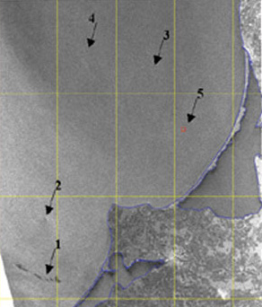  -      ASAR ENVISAT,  30  2004 .  1     (     )  26     (   www.scielo.cl)