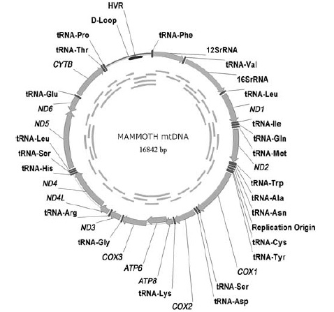    (       ). .    PloS Biology