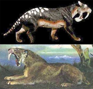    :    Thylacosmilus     ()  «»   Smilodon     (   www.avph.hpg.ig.com.br  www.prismenfernglas.de)