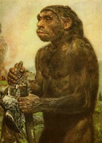 Неандертальцев исключили из разряда людей