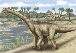       - Turiasaurus riodevensis