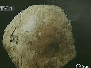 Найденный в провинции Хэнань хорошо сохранившийся череп состоит из 16 фрагментов 