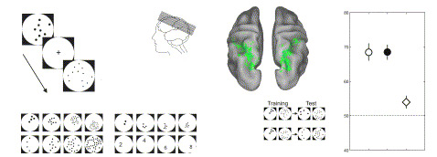            ,     ,  ,  ,    ,    ( Eger et al.)