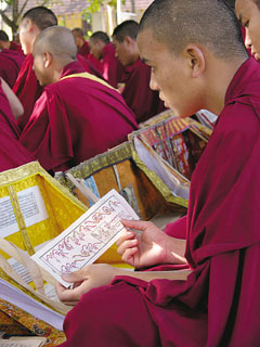 Философия без футбола. О жизни в тибетском монастыре