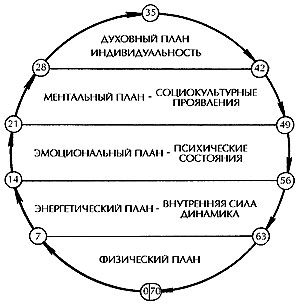 Реферат: Жизненный цикл Человека