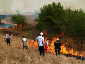 Венгрия: Добровольцы Нового Акрополя оказывают помощь в тушении лесных пожаров летом 2006 года