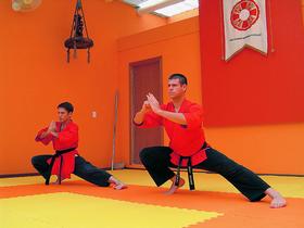 Бразилия. Показательные выступления Школы боевых искусств