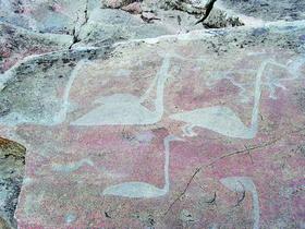 С культом солнца (Аполлона?), возможно, связаны и лебеди-кликуны, изображенные на древних камнях Онежского озера. 