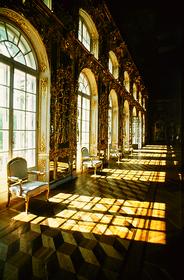 Большой зал Царскосельского дворца 