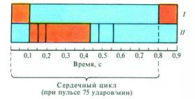    (  75 /): I - , II - .   - ,  - .      ,  0,1 ,   (0,33-0,35 )    (0,4 ).